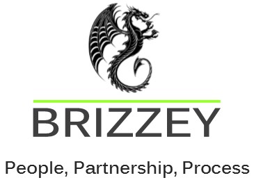 Brizzey logo